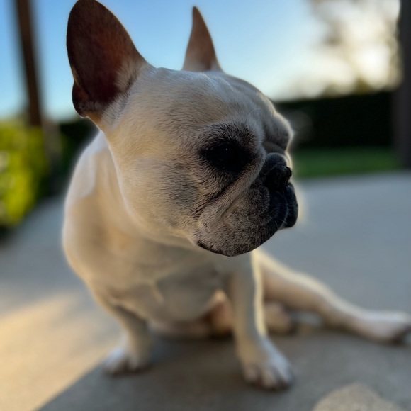 Meet your Posher, Svetlana - Picture 1 of 1